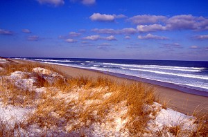 Beach in Winter 300