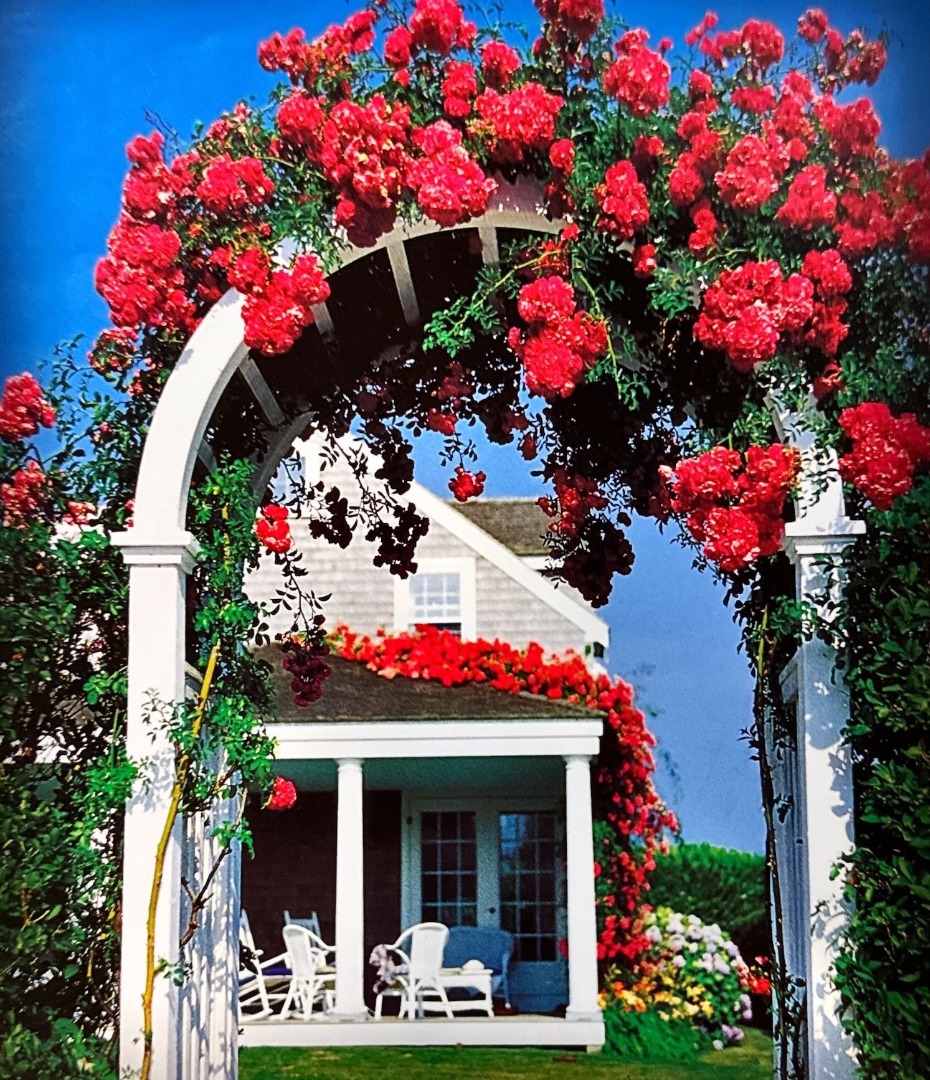 5 Emily Street Nantucket