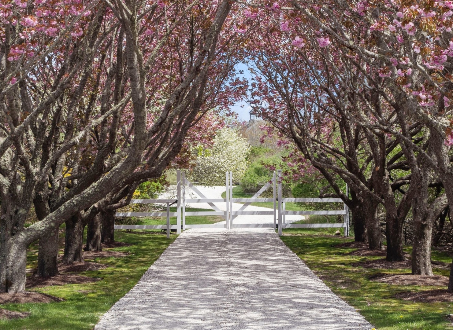 11 Eel Point Road Nantucket