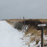 Beach Path