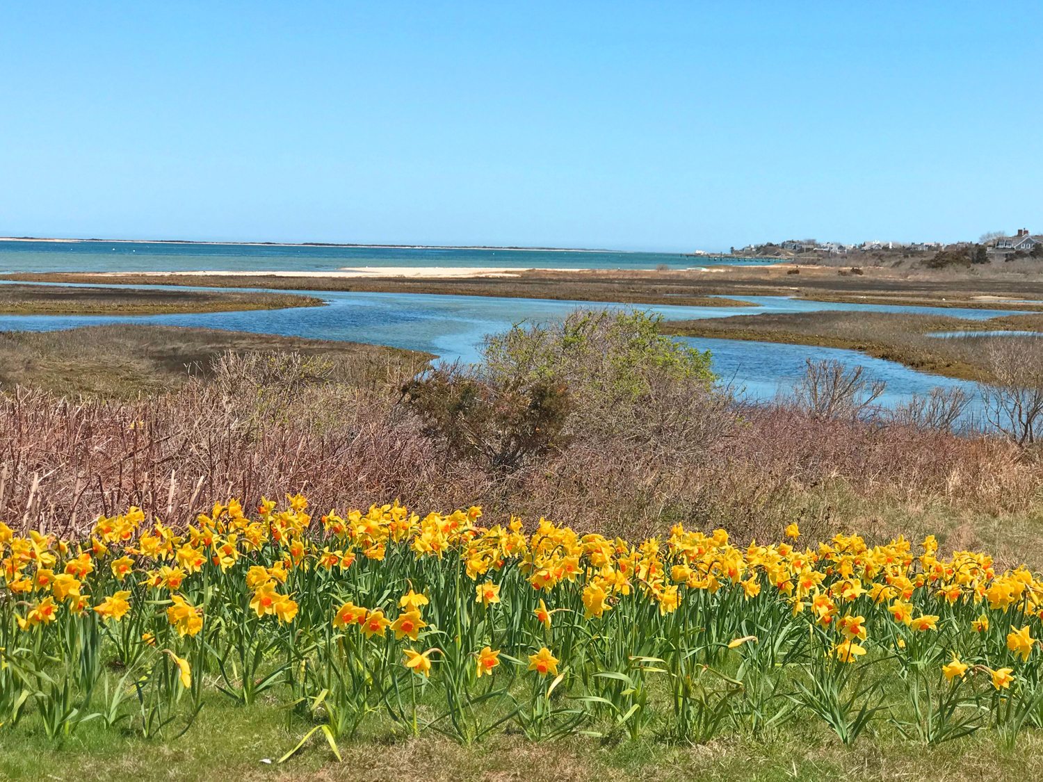 Nantucket Longer Term Rentals Atlantic East Nantucket Real Estate