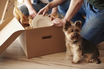 Family Moving Into Home with Dog