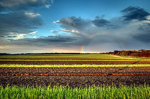 Farm Rainbow