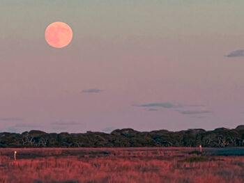 Full Moon over Moors