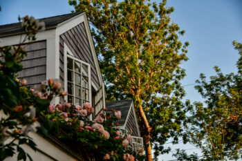 Nantucket House with Tree