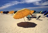 Yellow and Blue Umbrellas on the Beach